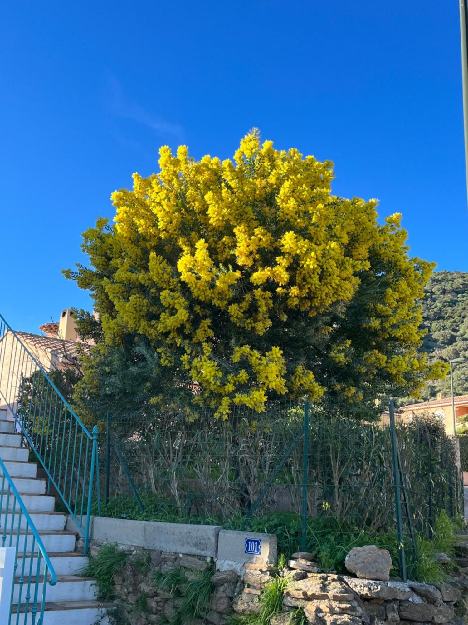 Le Lavandou St Clair Exterior photo